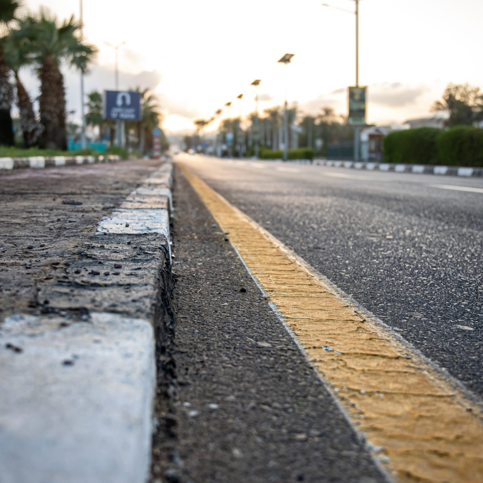Close up city asphalt road with palm trees along the road at sunset.